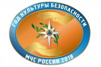2018 год объявлен в МЧС России Годом культуры безопасности
