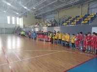Зональный областной этап Всероссийских соревнований по мини-футболу среди команд общеобразовательных организаций